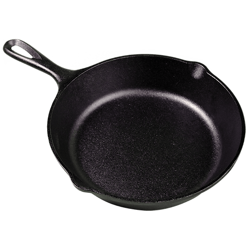 Lodge Seasoned Cast Iron Skillet